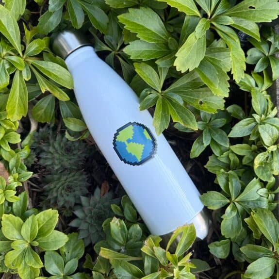 Little Earth Insulated Water Bottle