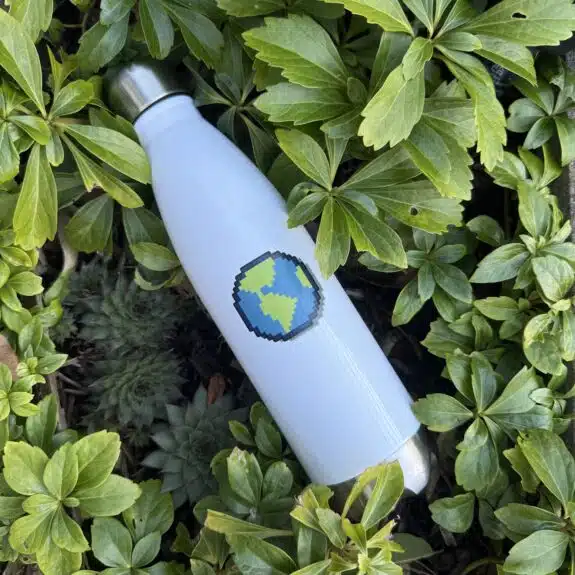 Little Earth Insulated Water Bottle