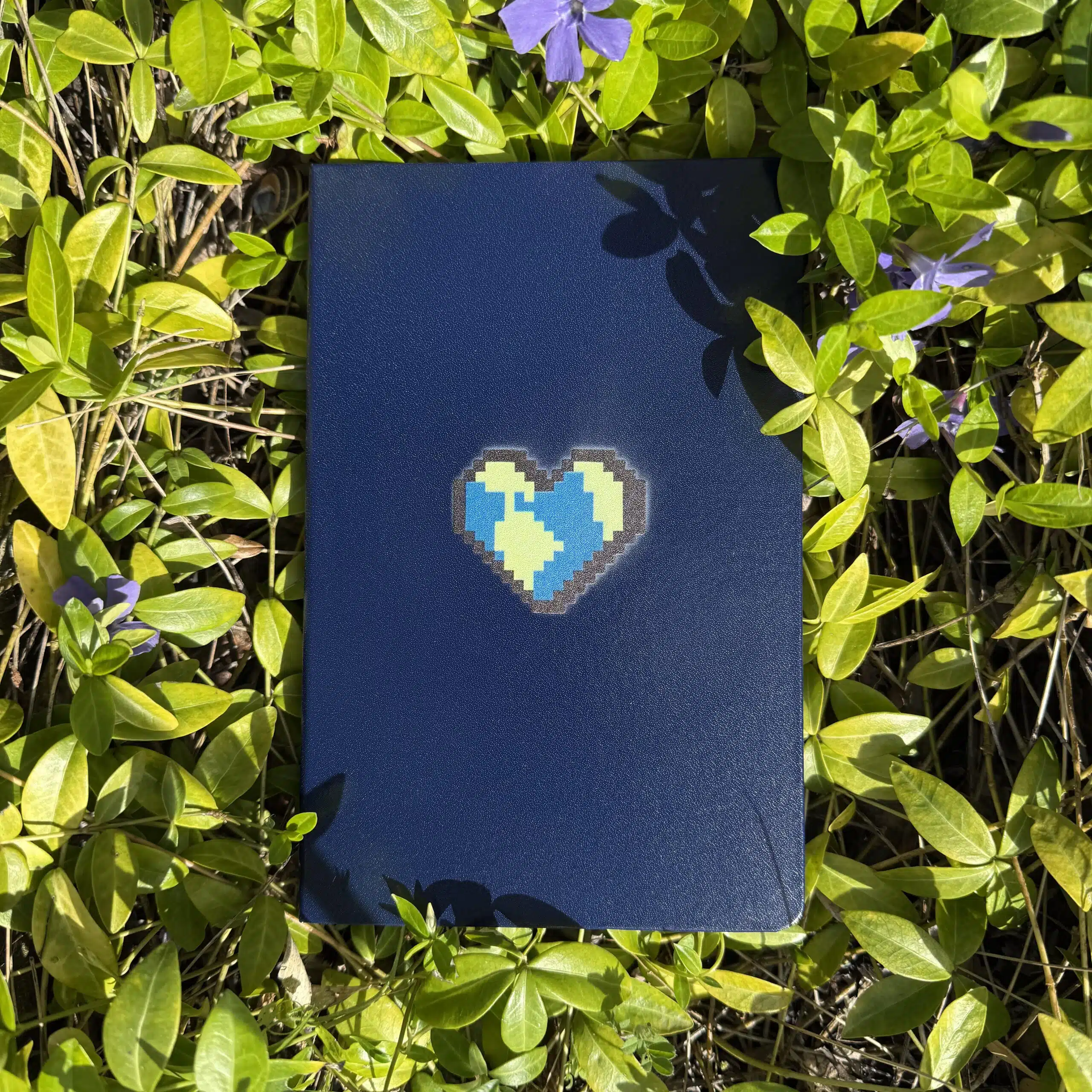 Heart Earth Hardcover Notebook